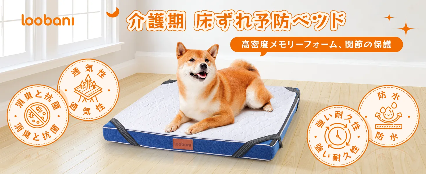 画像の説明。